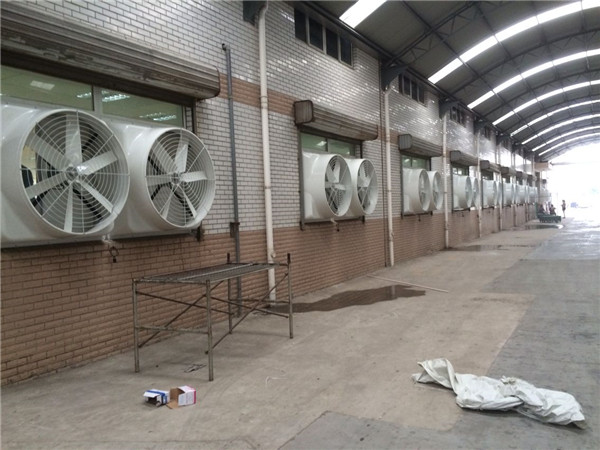 ؓ(f��)���L(f��ng)�C����